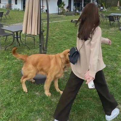 大鼻子小英雄
