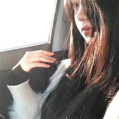 翼龙